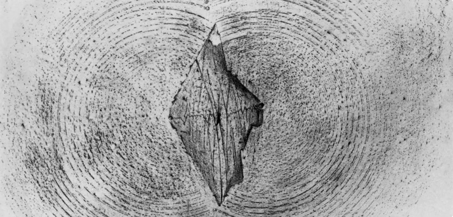 Max Ernst, Composition (Spies/Leppien 222), Histoire Naturelle, Lithograph