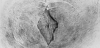 Max Ernst, Composition (Spies/Leppien 222), Histoire Naturelle, Lithograph