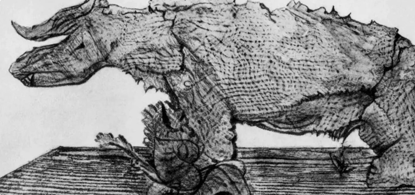 Max Ernst, Composition (Spies/Leppien 222), Histoire Naturelle, Lithograph