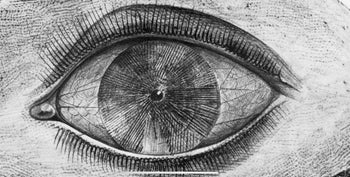 Max Ernst, Composition (Spies/Leppien 222), Histoire Naturelle, Lithograph