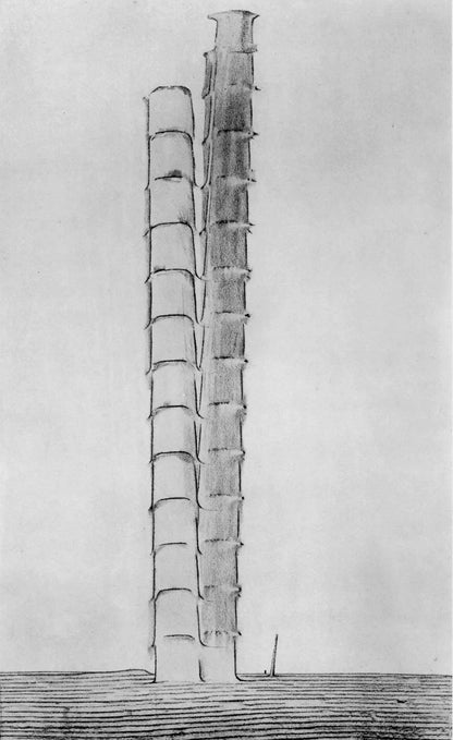 Max Ernst, Composition (Spies/Leppien 222), Histoire Naturelle, Lithograph