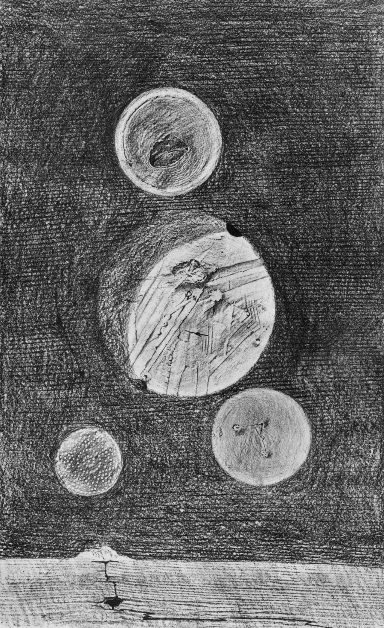 Max Ernst, Composition (Spies/Leppien 222), Histoire Naturelle, Lithograph