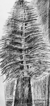 Max Ernst, Composition (Spies/Leppien 222), Histoire Naturelle, Lithograph