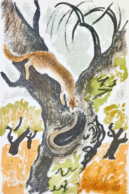 Maurice Mourlot, Composition, De Goupil A Margot, Histoires De Btes, Lithograph