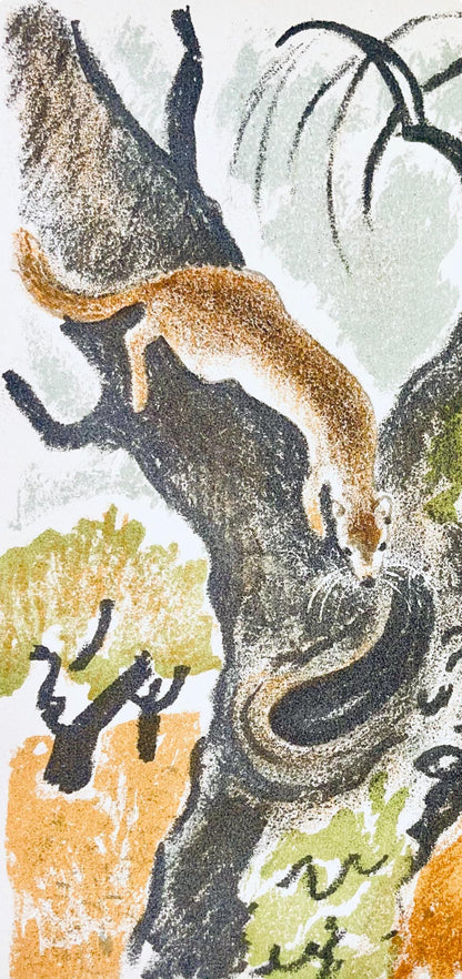 Maurice Mourlot, Composition, De Goupil A Margot, Histoires De Btes, Lithograph