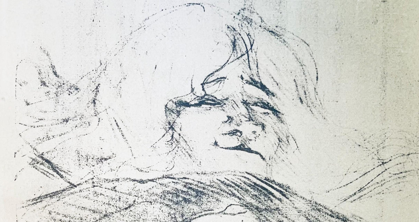 Henri De Toulouse-Lautrec, Composition, Images De Lautrec, 21 Planches En Couleurs, Collezione