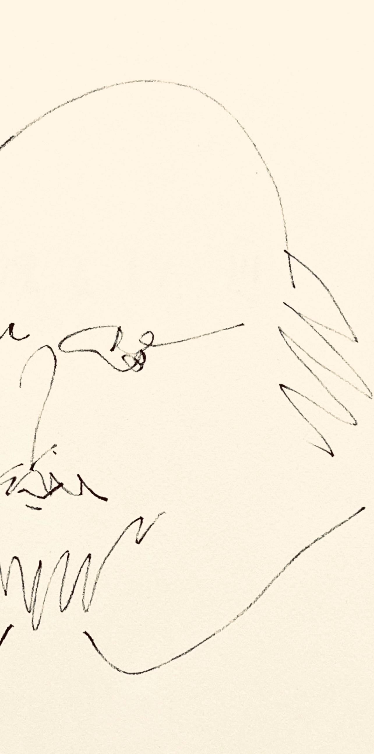 Pablo Picasso, Shakespeare Xi (Bloch 1197), Picasso-Aragon Shakespeare, Lithograph