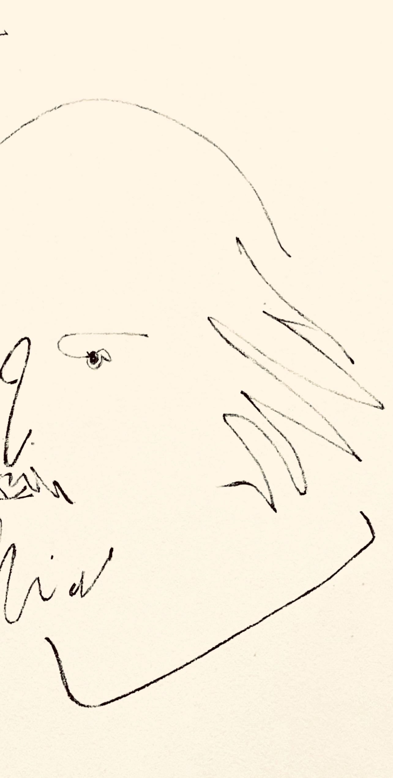 Pablo Picasso, Shakespeare Xii (Bloch 1197), Picasso-Aragon Shakespeare, Lithograph