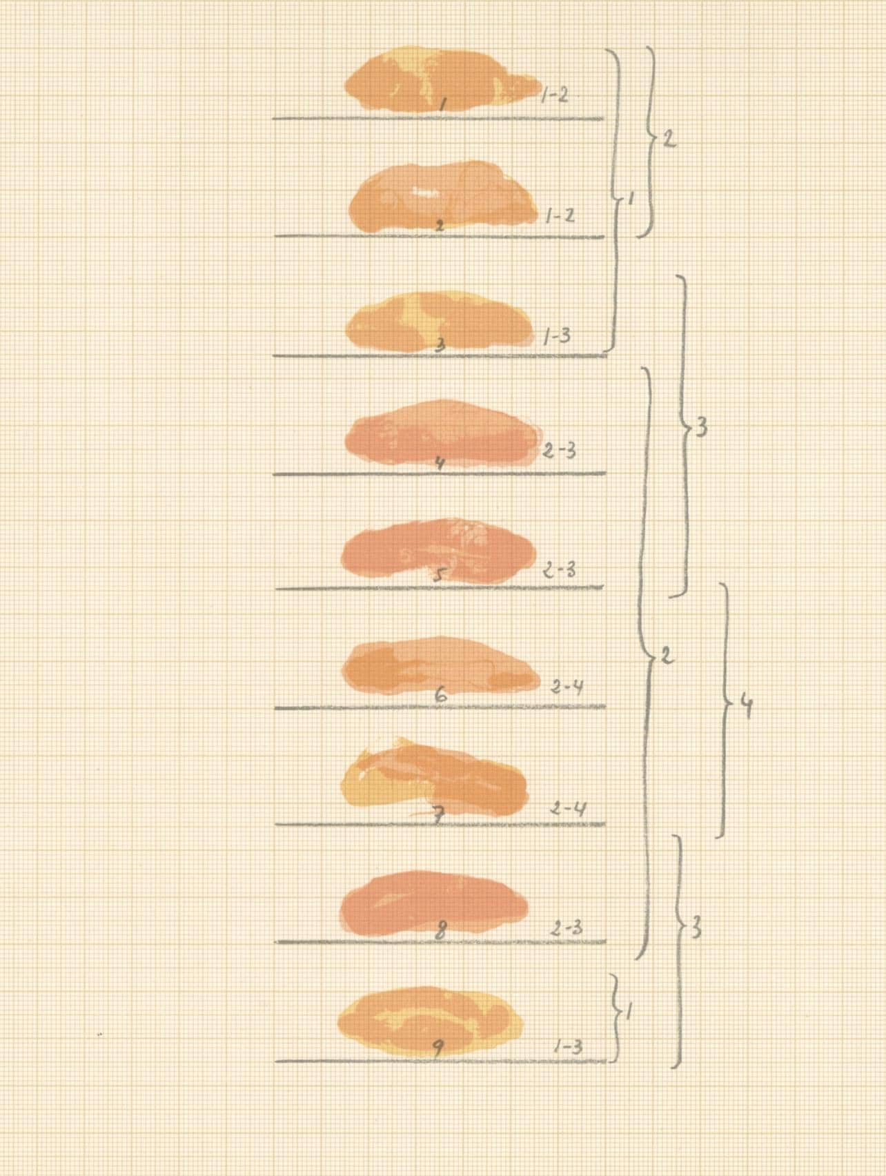 Joan Hernndez-Pijuan, Composition, Ediciones Polgrafa, Redfern Gallery, Lithograph