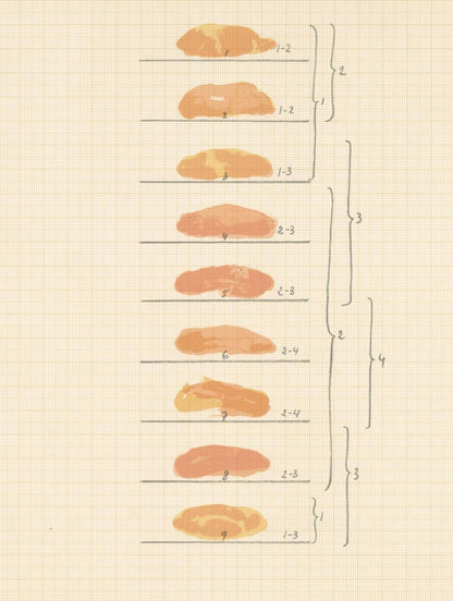 Joan Hernndez-Pijuan, Composition, Ediciones Polgrafa, Redfern Gallery, Lithograph