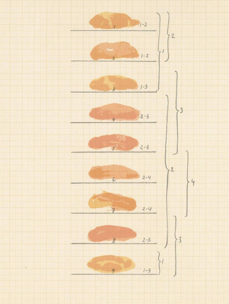 Joan Hernndez-Pijuan, Composition, Ediciones Polgrafa, Redfern Gallery, Lithograph