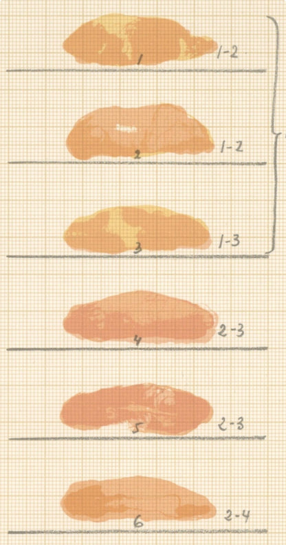 Joan Hernndez-Pijuan, Composition, Ediciones Polgrafa, Redfern Gallery, Lithograph