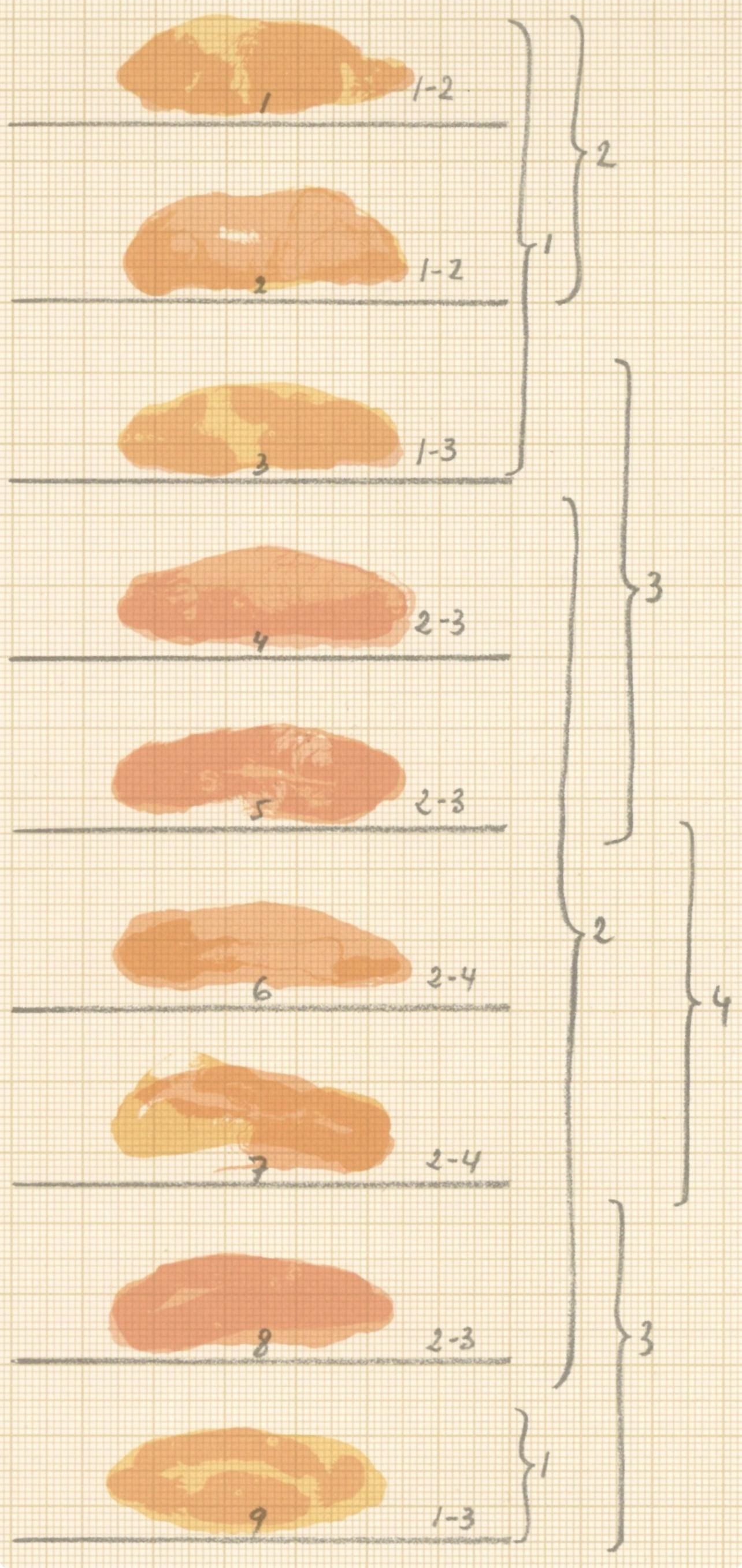 Joan Hernndez-Pijuan, Composition, Ediciones Polgrafa, Redfern Gallery, Lithograph