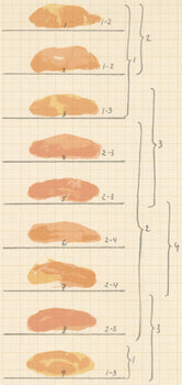 Joan Hernndez-Pijuan, Composition, Ediciones Polgrafa, Redfern Gallery, Lithograph