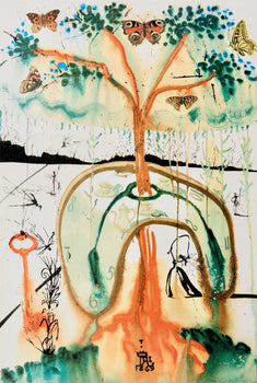 Salvador Dal, Composition (Field 69-5, A-M), Alice'S Adventures In Wonderland, Hliogravure