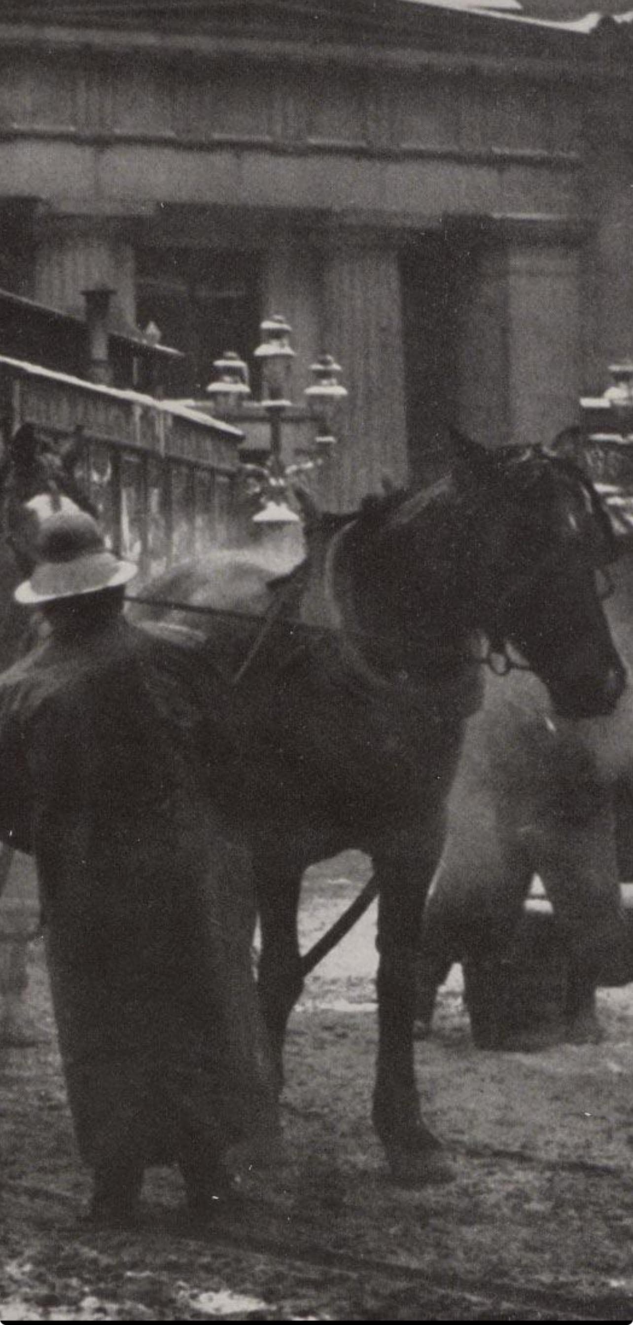 Alfred Stieglitz, The Terminal, Alfred Stieglitz Memorial Portfolio 1864-1946, Halftone Photograph