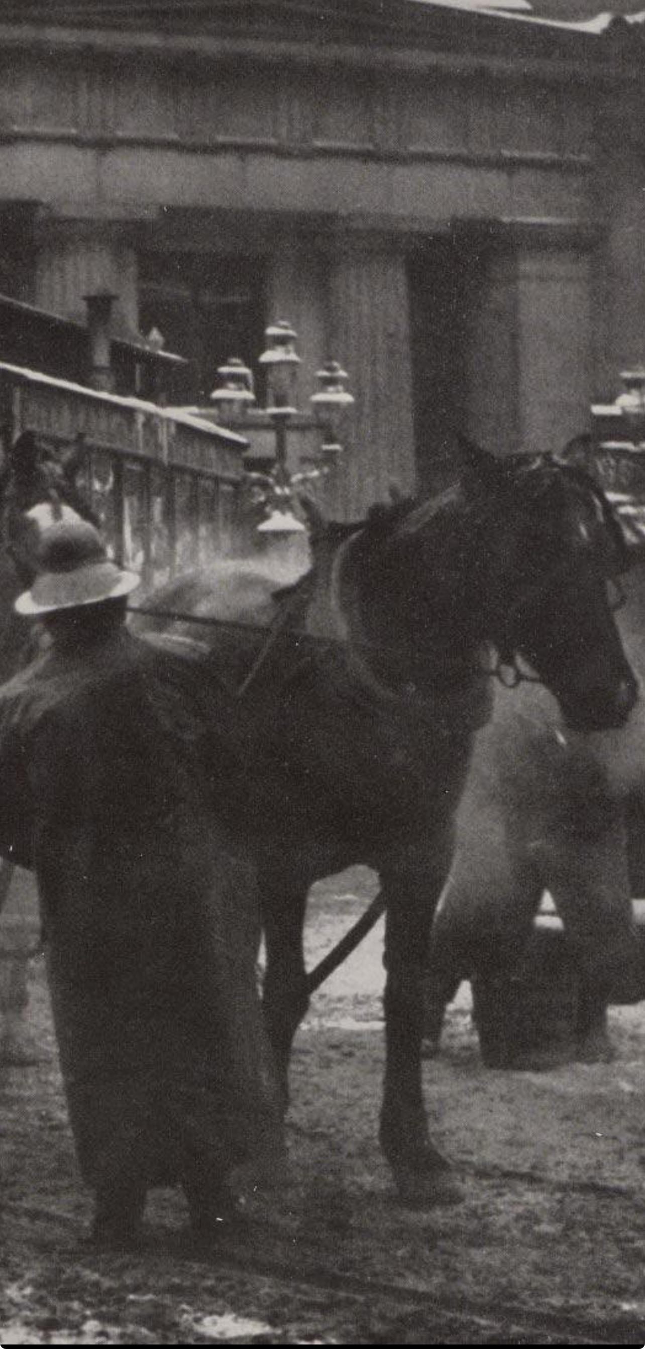 Alfred Stieglitz, The Terminal, Alfred Stieglitz Memorial Portfolio 1864-1946, Halftone Photograph