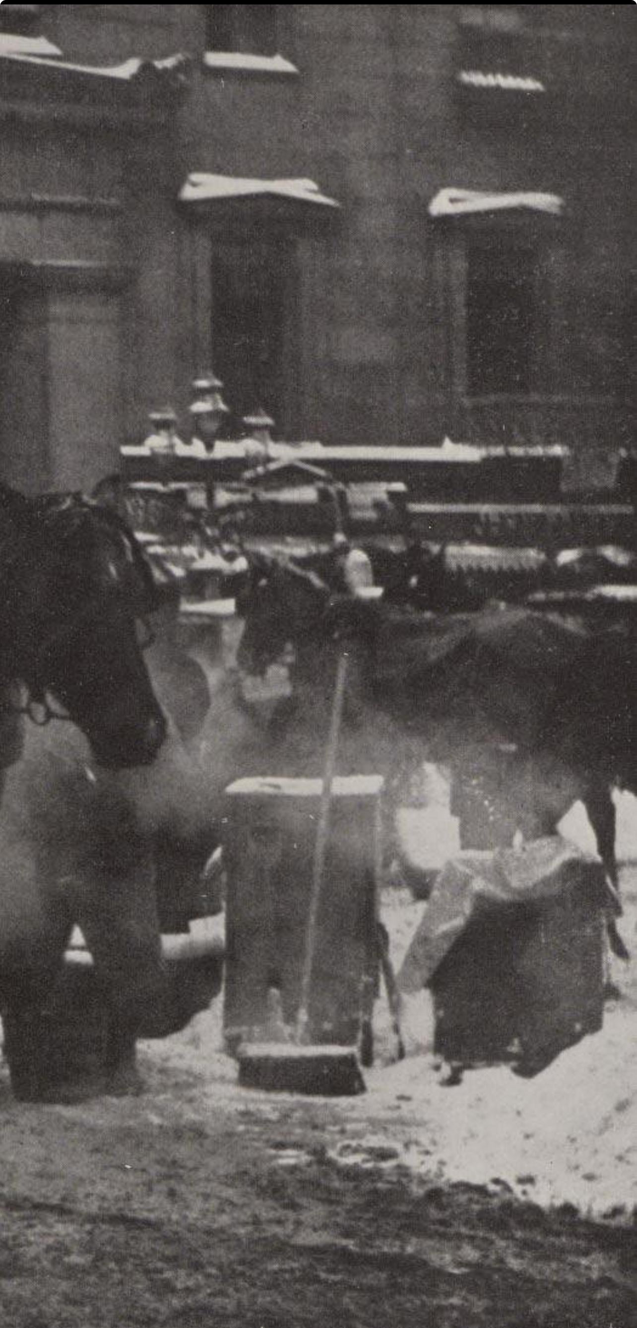 Alfred Stieglitz, The Terminal, Alfred Stieglitz Memorial Portfolio 1864-1946, Halftone Photograph