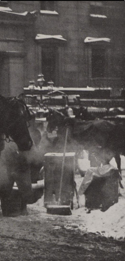 Alfred Stieglitz, The Terminal, Alfred Stieglitz Memorial Portfolio 1864-1946, Halftone Photograph