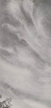 Alfred Stieglitz, Equivalent 27C, Alfred Stieglitz Memorial Portfolio 1864-1946, Halftone Photograph