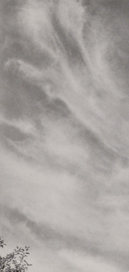 Alfred Stieglitz, Equivalent 27C, Alfred Stieglitz Memorial Portfolio 1864-1946, Halftone Photograph