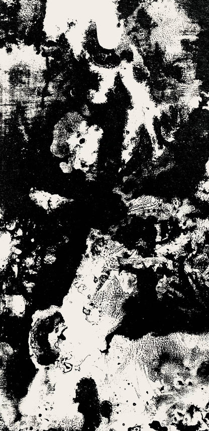 Franois Fiedler, Composition, Derrire Le Miroir, Lithograph