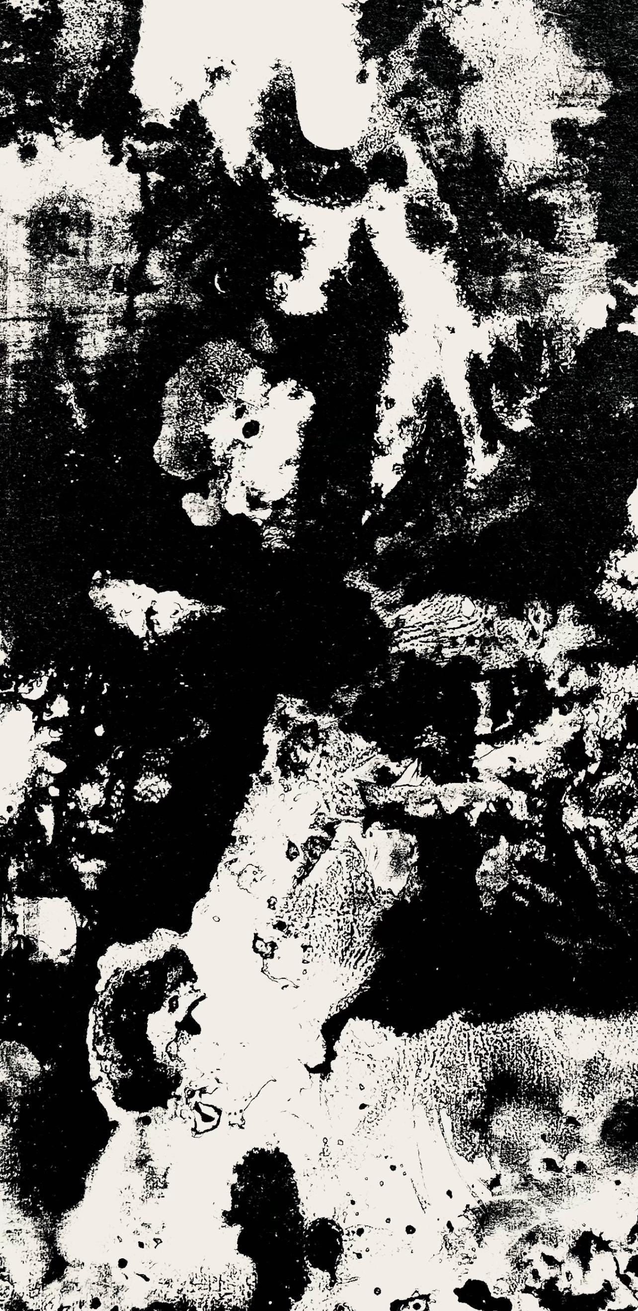 Franois Fiedler, Composition, Derrire Le Miroir, Lithograph