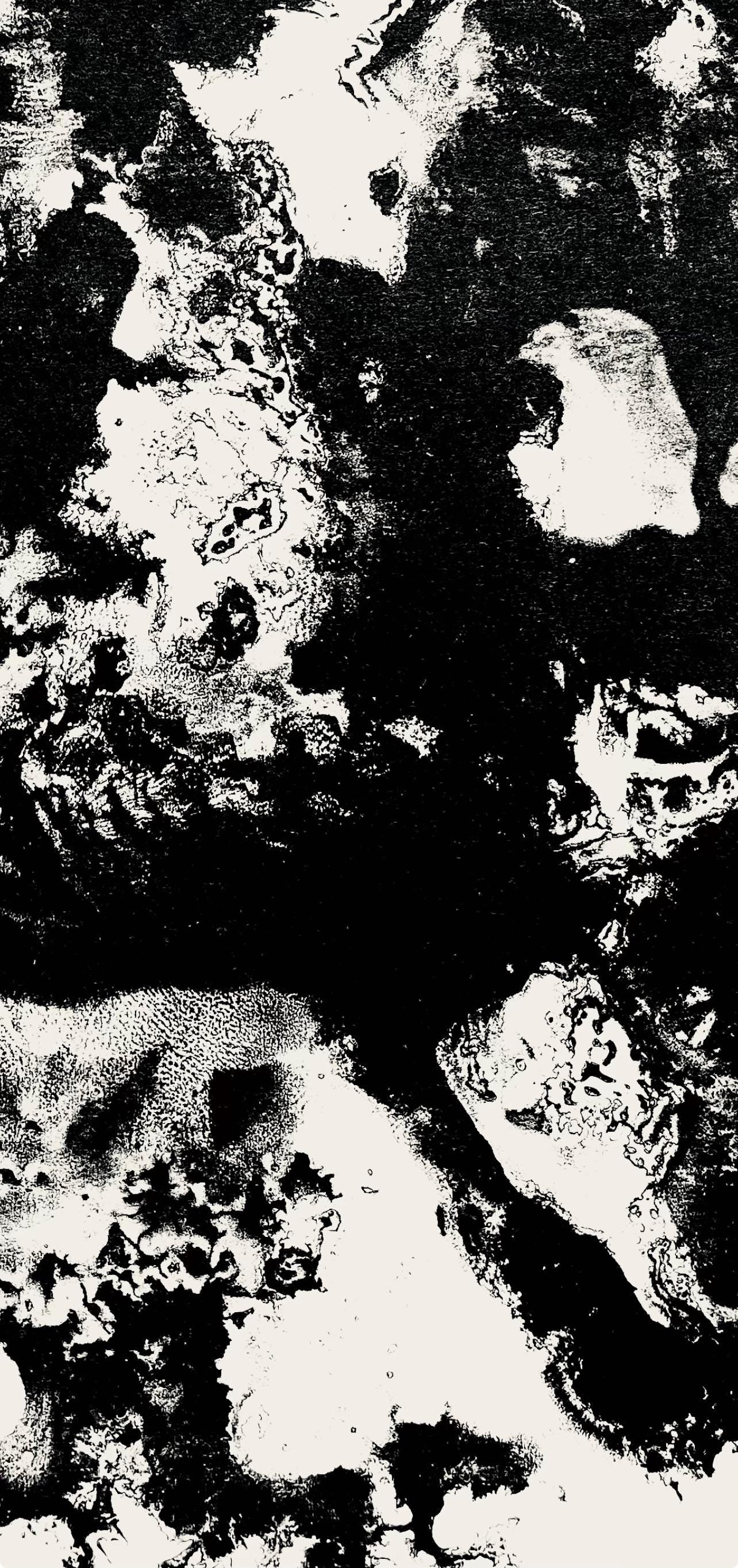 Franois Fiedler, Composition, Derrire Le Miroir, Lithograph