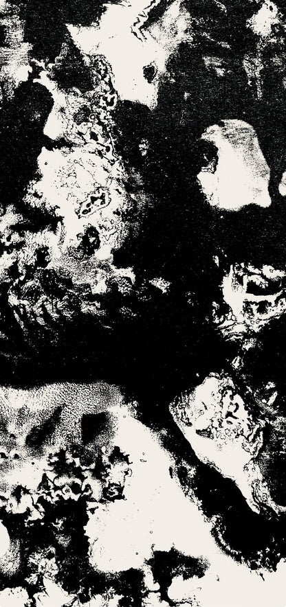 Franois Fiedler, Composition, Derrire Le Miroir, Lithograph