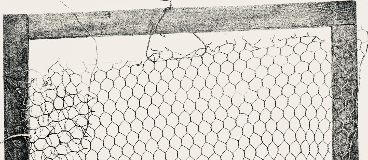 Paul Rebeyrolle, Composition, Derrire Le Miroir, Lithograph