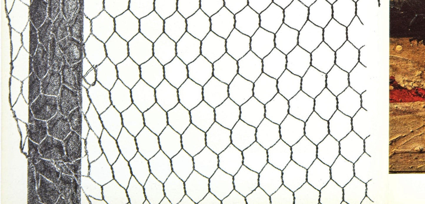 Paul Rebeyrolle, Composition, Derrire Le Miroir, Lithograph