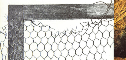 Paul Rebeyrolle, Composition, Derrire Le Miroir, Lithograph