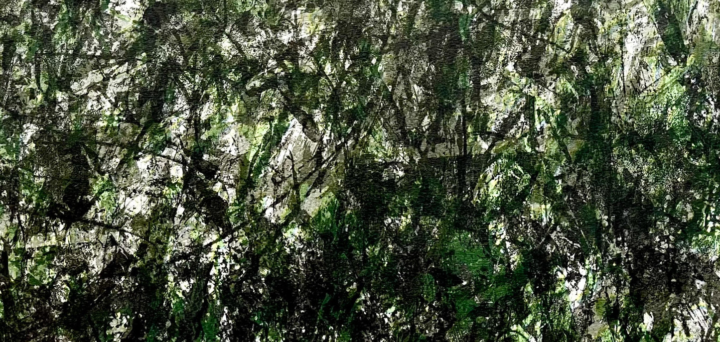 Franois Fiedler, Composition, Derrire Le Miroir, Lithograph