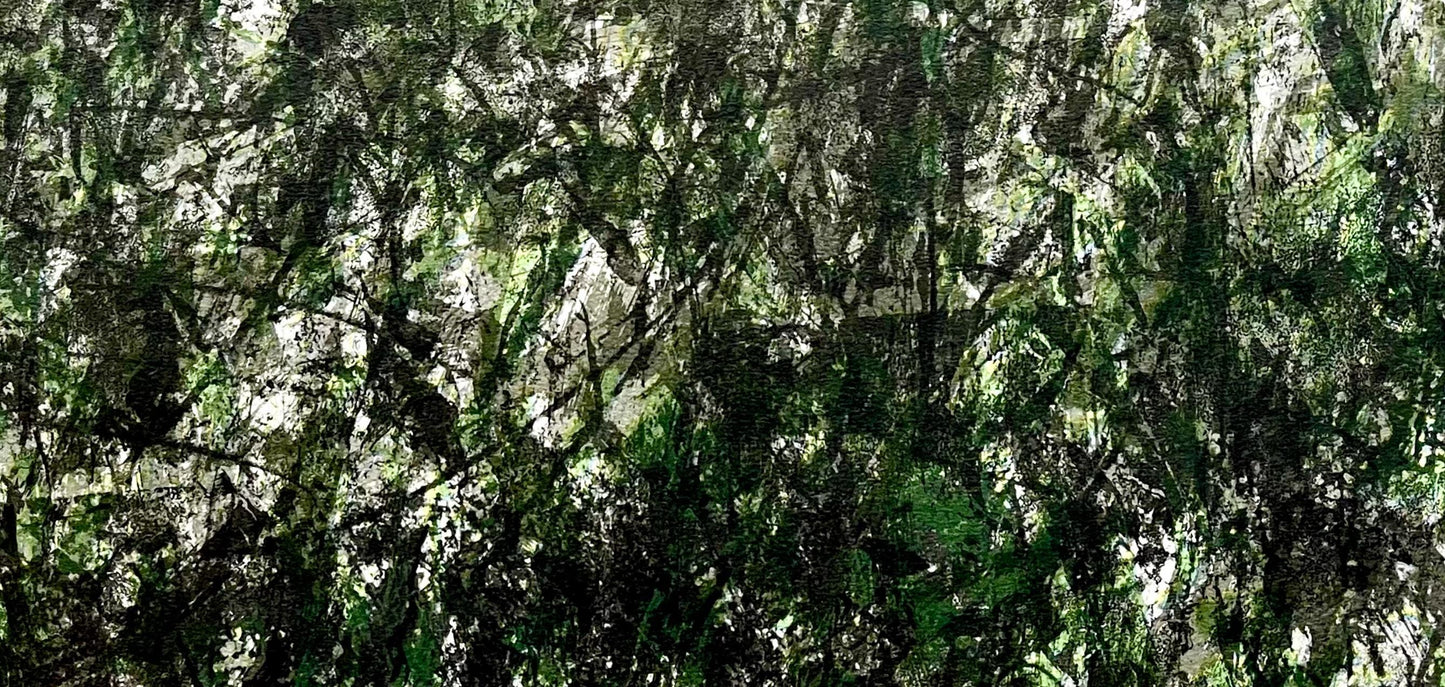 Franois Fiedler, Composition, Derrire Le Miroir, Lithograph