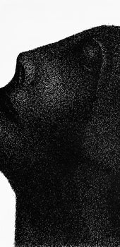 Raoul Ubac, Composition, Derrire Le Miroir, Lithograph