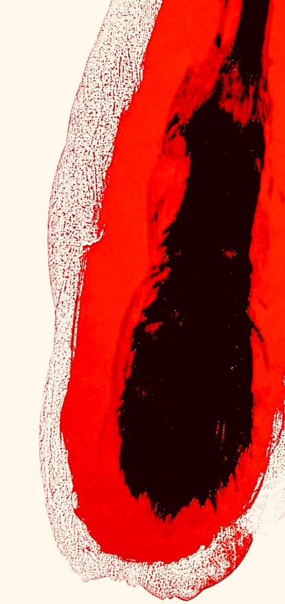 Joan Mir, Yellow And Green (Mourlot 298, 300), Derrire Le Miroir, Lithograph