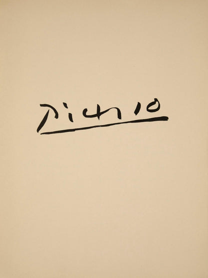Pablo Picasso, Profil De Vieille Femme, Trait Et Lavis (Cramer No. 84), 40 Dessins De Picasso En