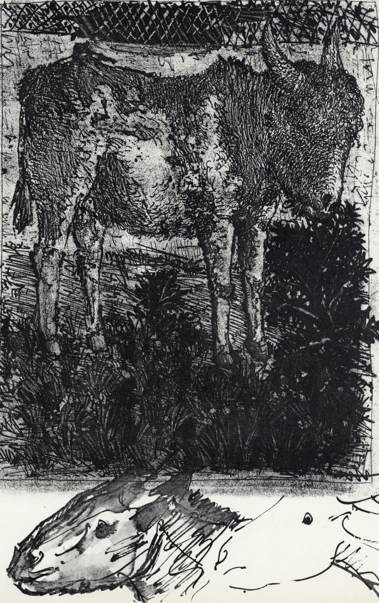 Pablo Picasso, Anes, Sur Une Planche Grave (Cramer No. 84), 40 Dessins De Picasso En Marge Du
