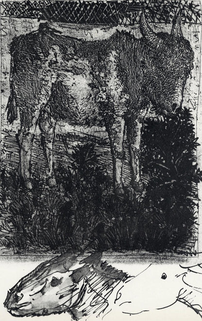 Pablo Picasso, Anes, Sur Une Planche Grave (Cramer No. 84), 40 Dessins De Picasso En Marge Du