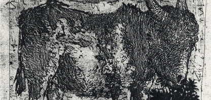 Pablo Picasso, Anes, Sur Une Planche Grave (Cramer No. 84), 40 Dessins De Picasso En Marge Du