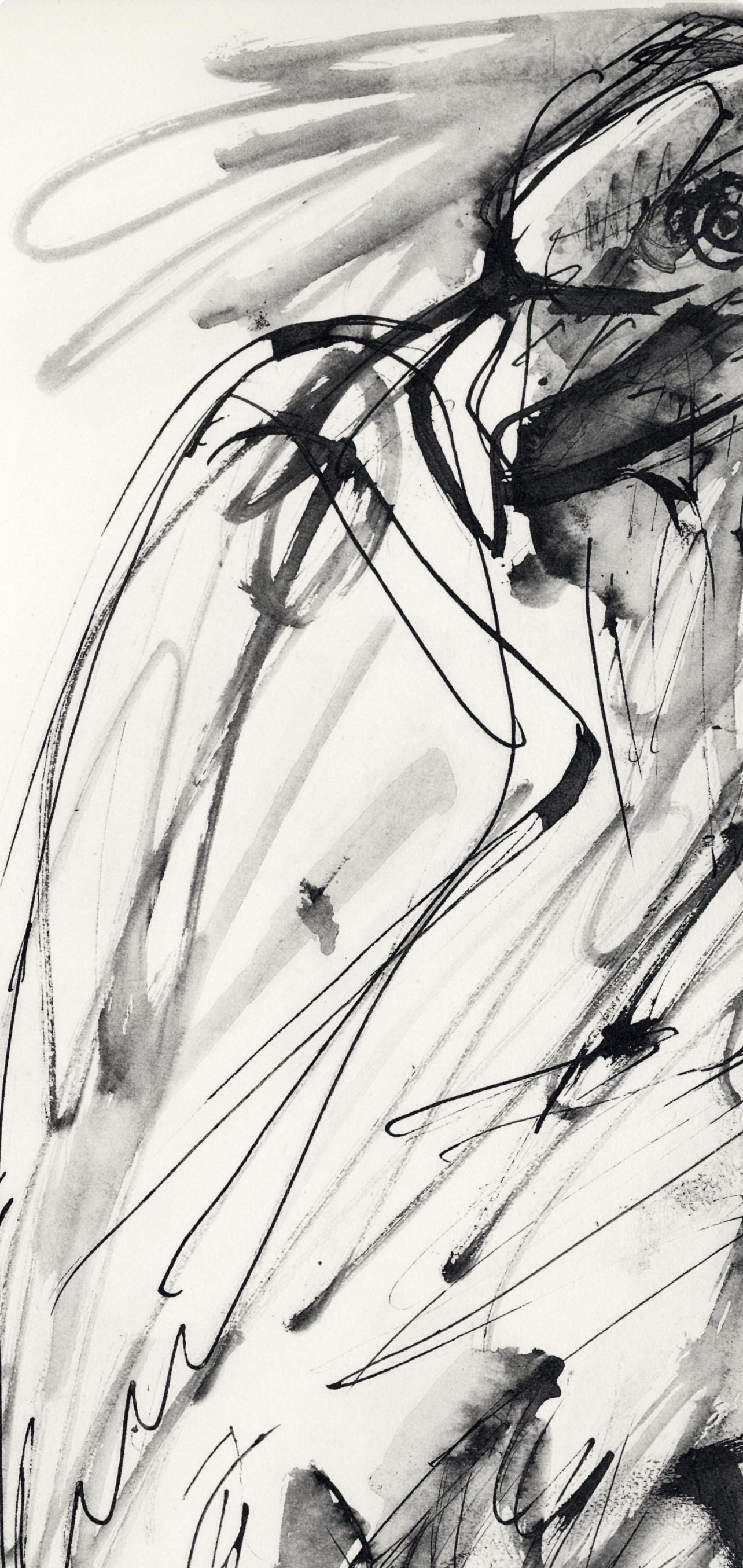 Pablo Picasso, Un Aigle (Cramer No. 84), 40 Dessins De Picasso En Marge Du Buffon, Lithograph