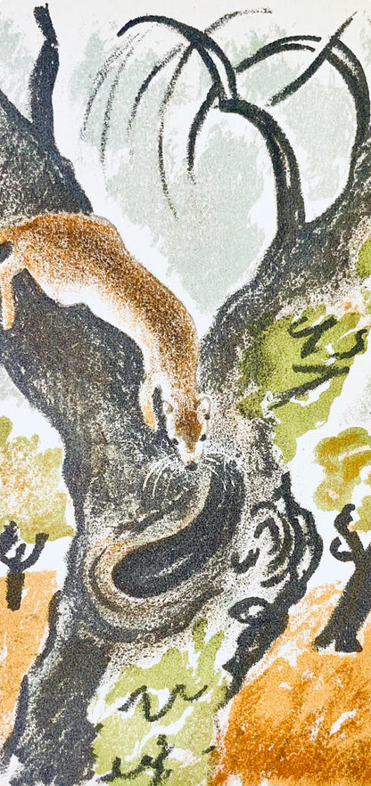 Maurice Mourlot, Composition, De Goupil A Margot, Histoires De Btes, Lithograph