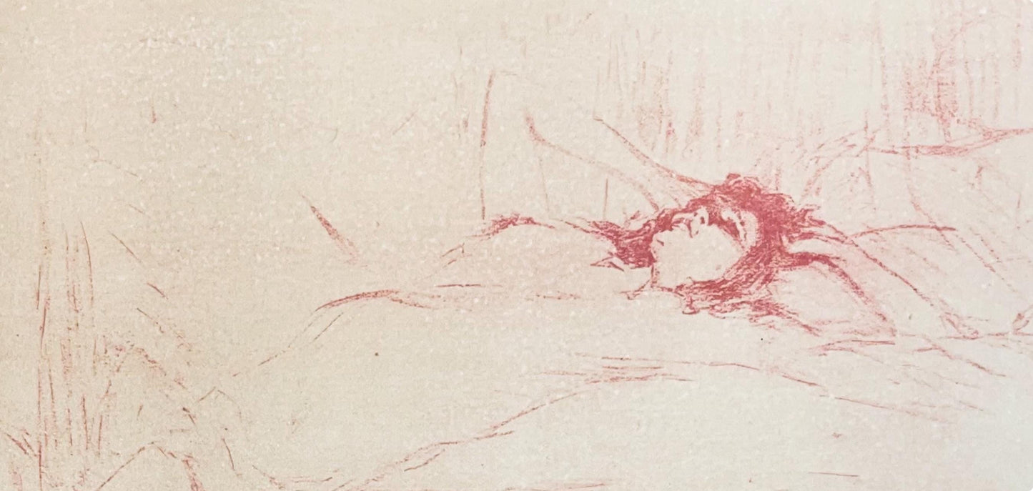 Henri De Toulouse-Lautrec, Composition, Images De Lautrec, 21 Planches En Couleurs, Collezione