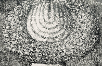 Domenico Gnoli, Composition, Suites N9, Lithograph