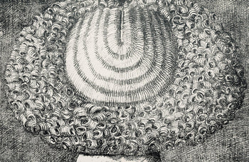 Domenico Gnoli, Composition, Suites N9, Lithograph