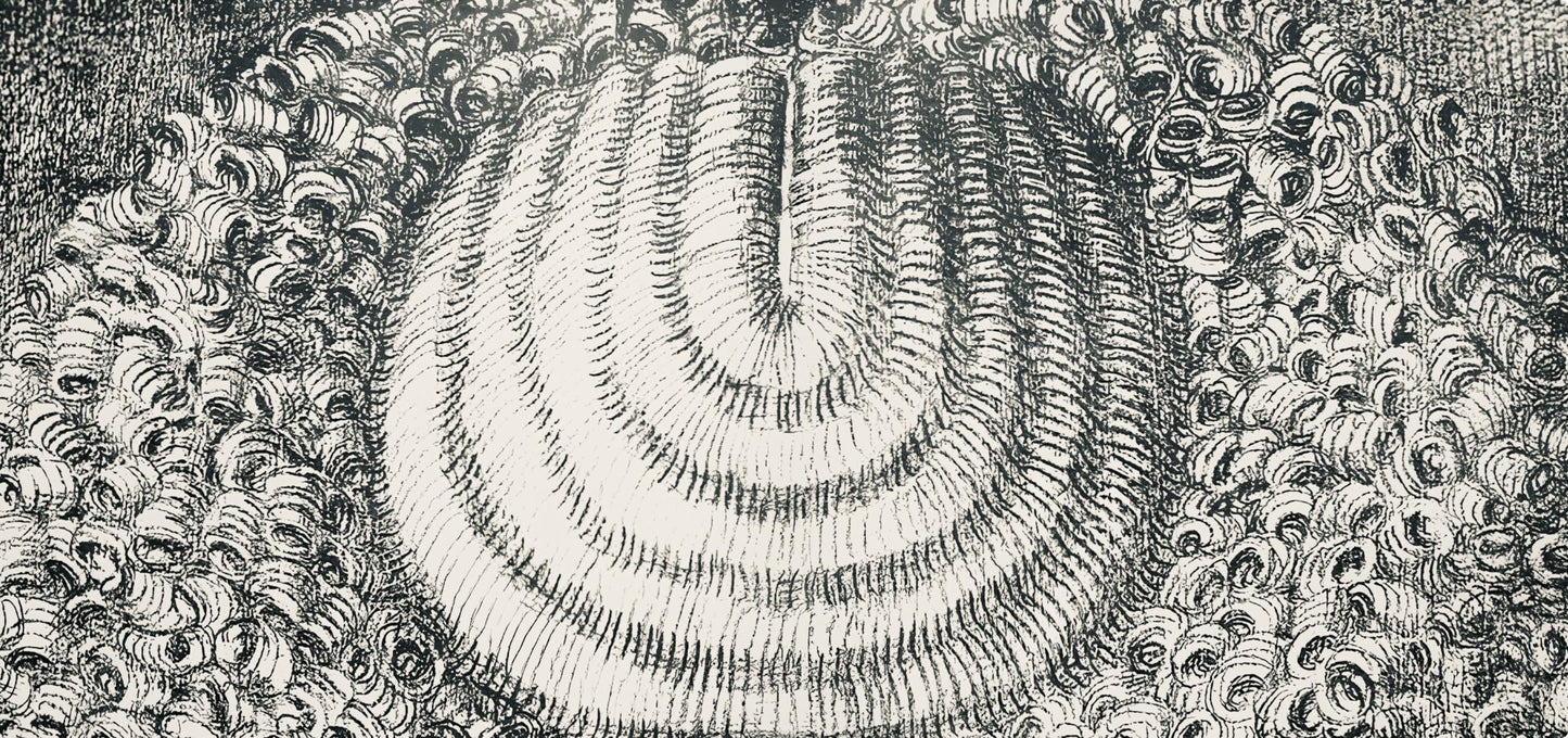 Domenico Gnoli, Composition, Suites N9, Lithograph