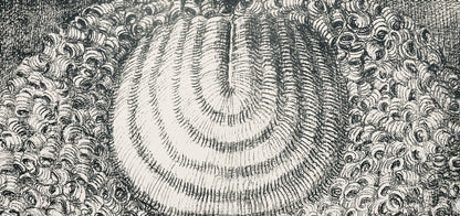 Domenico Gnoli, Composition, Suites N9, Lithograph