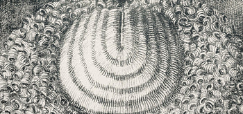 Domenico Gnoli, Composition, Suites N9, Lithograph