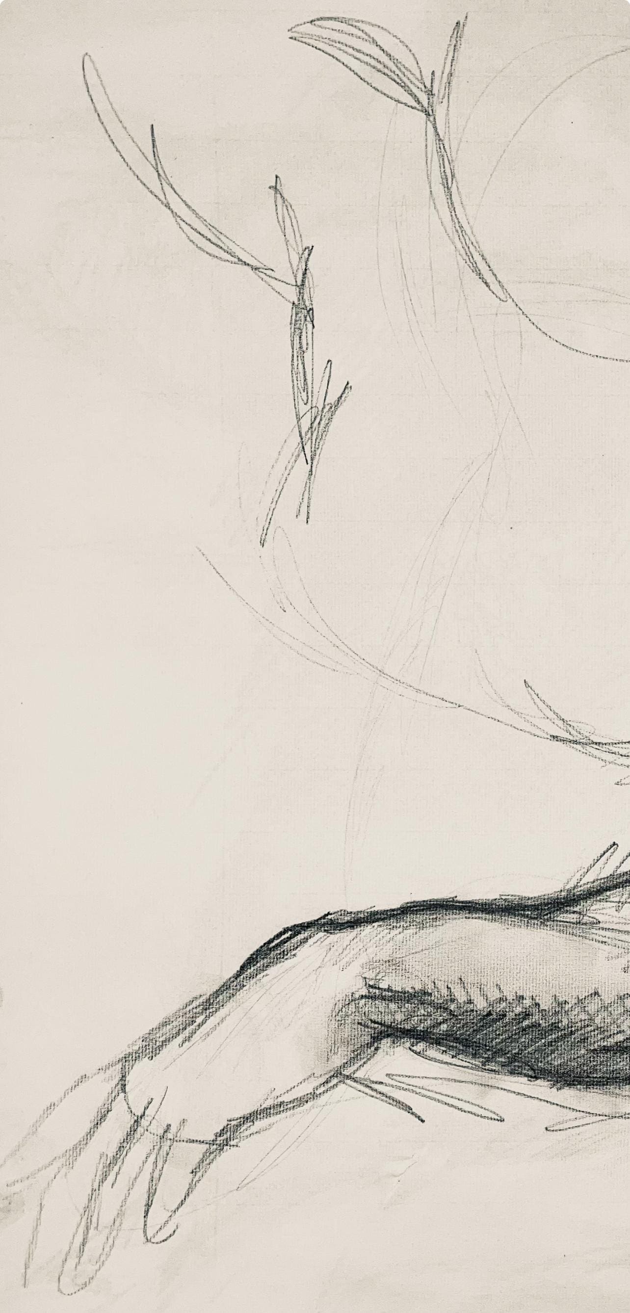 Ian Hornak, Renaissance Male Nude Figure Study, 1963, Original Drawing