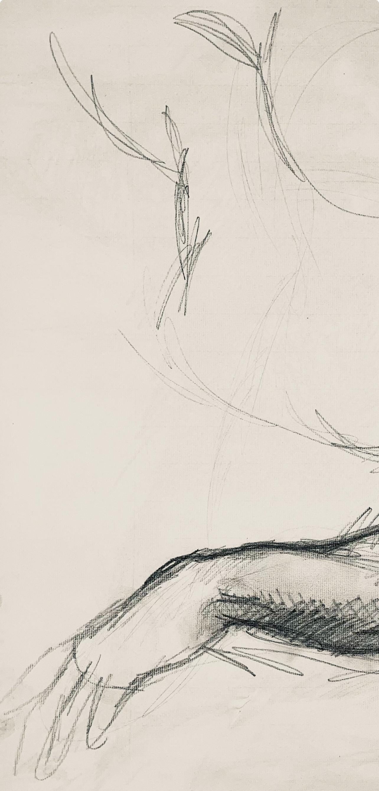 Ian Hornak, Renaissance Male Nude Figure Study, 1963, Original Drawing